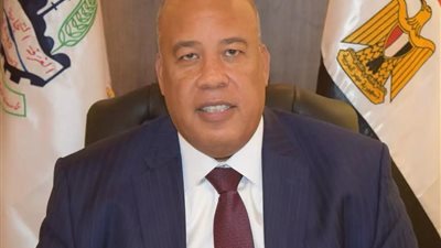 أيمن العشري: نقص خامات الحديد يهدد مصانع وصناعات متعددة.. وإصدار الرخص وحده لا يكفي