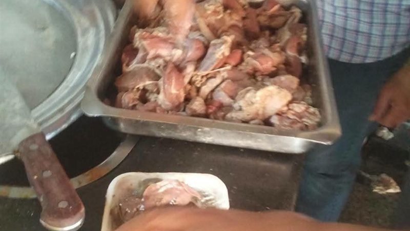 بيطري المنيا