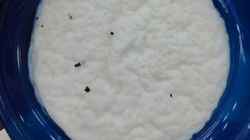 صورة المضبوطات 