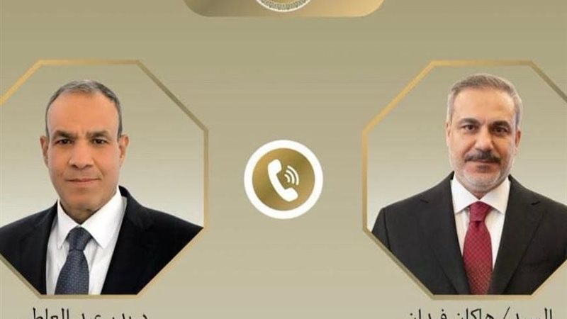  الدكتور بدر عبد العاطي وزير الخارجية