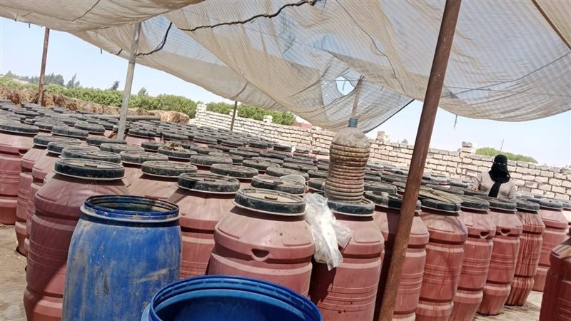 نتائج الحملة المكبرة