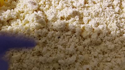 ضبط مصنع غير مرخص لإنتاج الجبنة الموتزاريلا بالفيوم.. والتحفظ على 765 كيلو