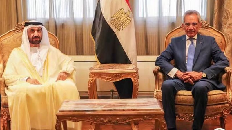 المستشار هاني حنا