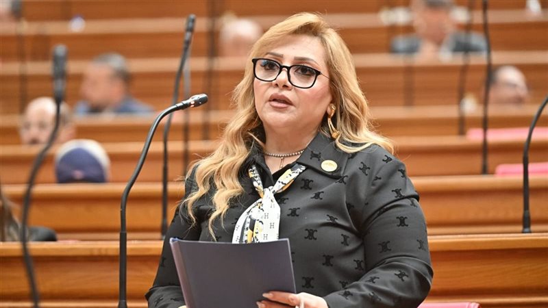 النائبة هبة غالي