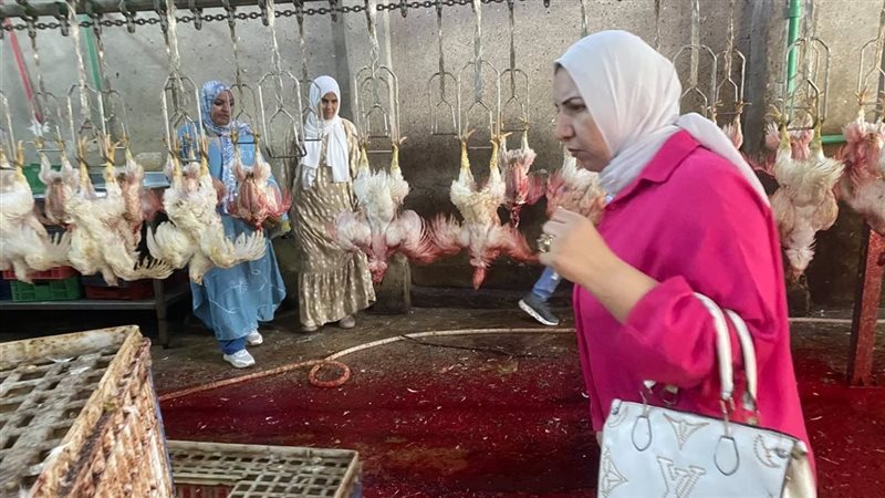 ضبط لحوم مجهولة المصدر