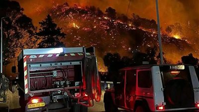 الجزائر يواجه الجحيم بسبب موجة الحر.. اندلاع 58 حريقًا في يوم واحد