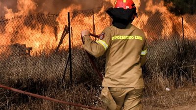 النيران تحاصر الجزائر.. 174 حريقًا و12 وفاة خلال 24 ساعة