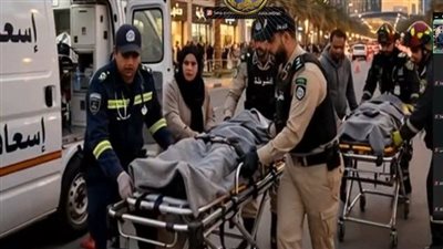 وزارة الداخلية تنظم ورشة عربية لتعزيز الشراكة بين الأمن والمجتمع وحماية الحقوق والحريات