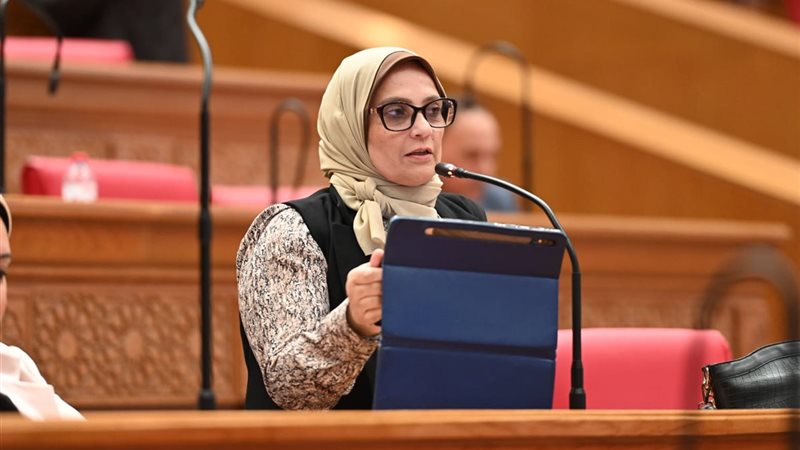 النائبة نجلاء العسيلي