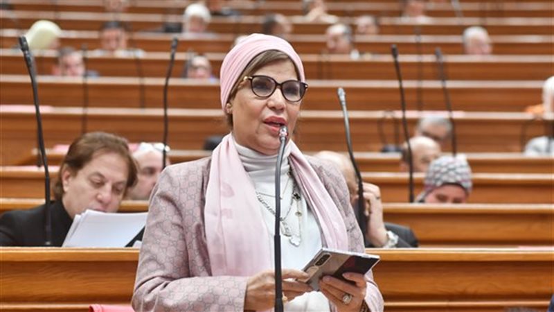 النائبة صبورة السيد