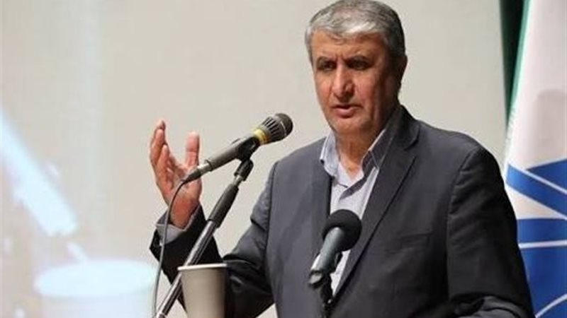  رئيس منظمة الطاقة
