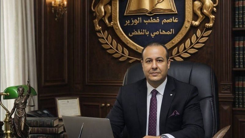 المستشار عاصم الوزير،