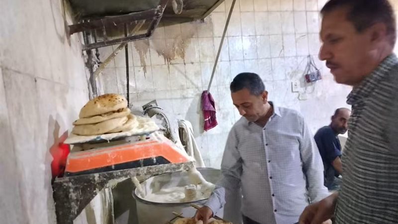 تموين المنيا