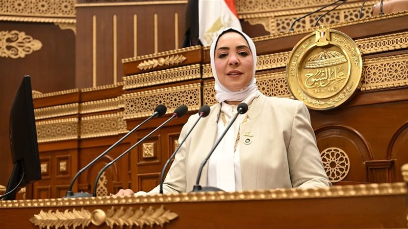 النائبة وفاء رشاد