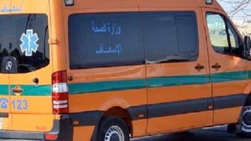 ارشيفية