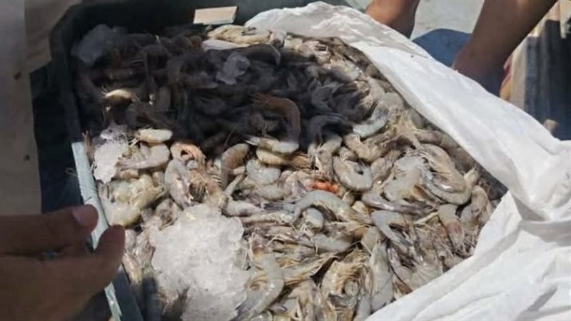 صورة المضبوطات 
