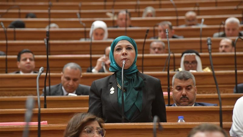 النائبة مريم العزب،
