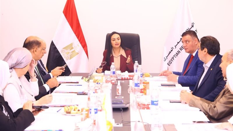 الدكتورة مايا مرسي