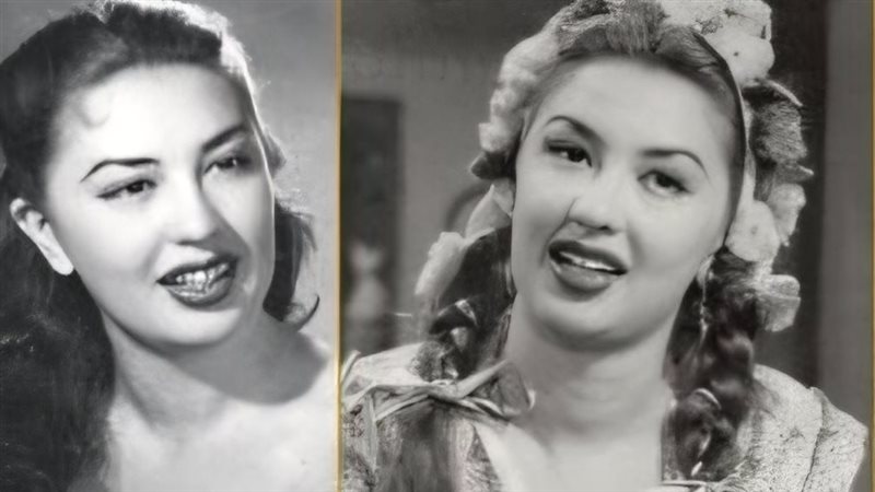 الفنانة كاميليا 