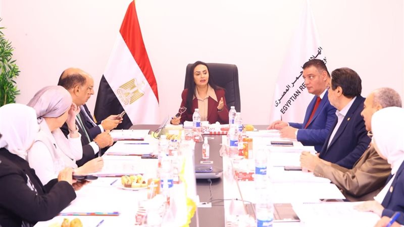 الدكتورة مايا مرسي