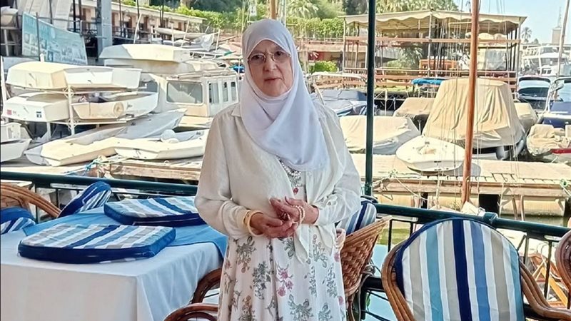 شمس البارودي 
