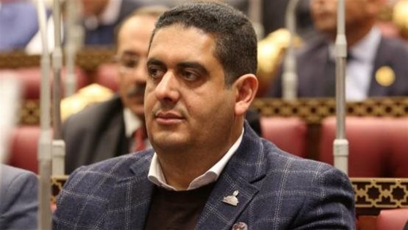  النائب وليد التمامي