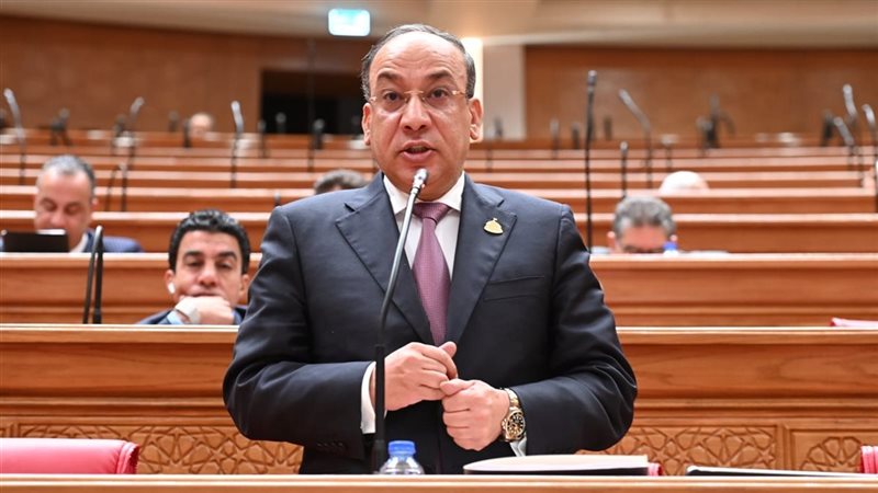 الدكتور طارق المحمدي