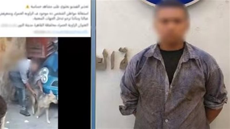 المتهم