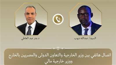 وزير الخارجية ونظيره المالي يبحثان سبل تعزيز العلاقات الثنائية وتطورات الأوضاع في منطقة الساحل
