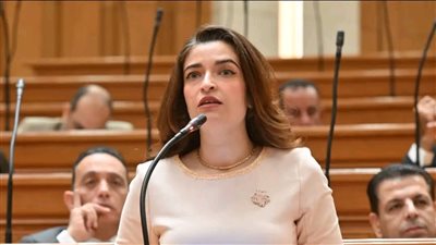 بعد موجة قطع الأشجار.. إيرين سعيد: «سيبوا حاجة حلوة للناس في الشارع»