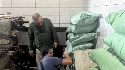 ضبط 4 وقائع تجميع سلع وتحرر 225 مخالفة تموينية في حملات بالدقهلية