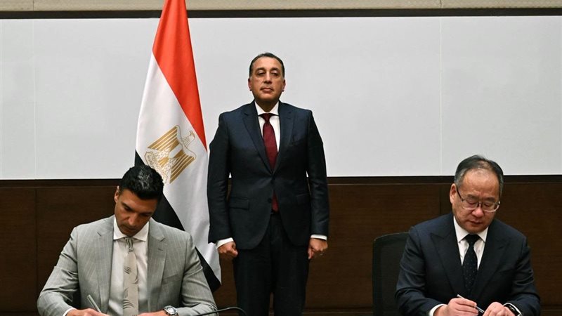 تفصيلة