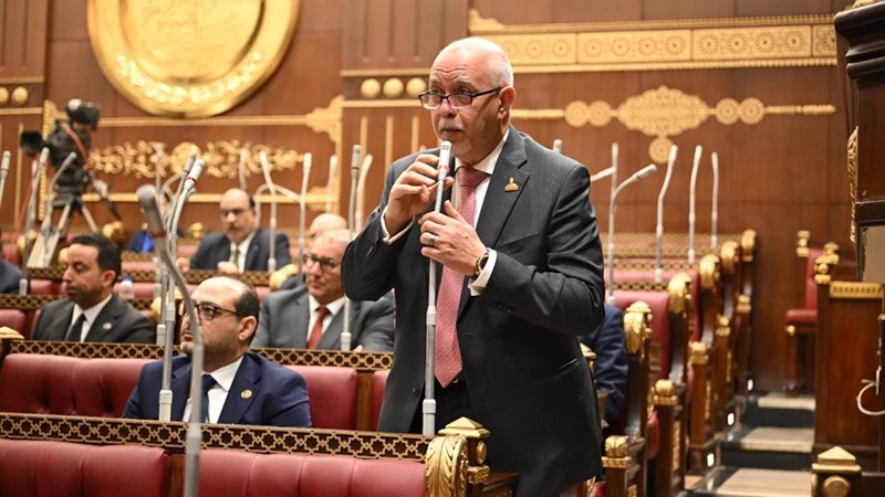 النائب المهندس حازم