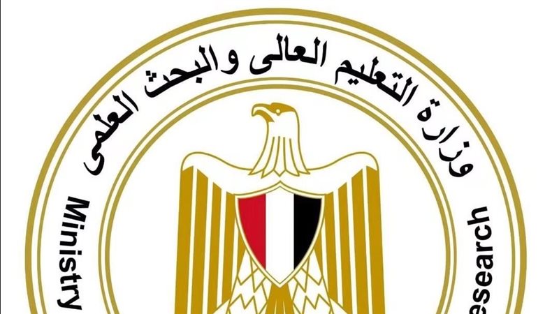 التعليم العالي