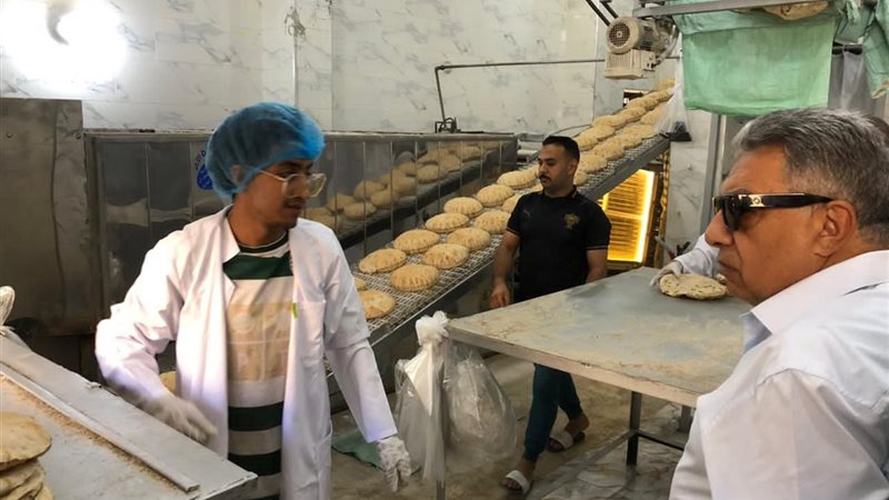 محافظ الدقهلية في