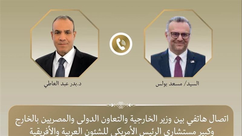 د. بدر عبد العاطي،