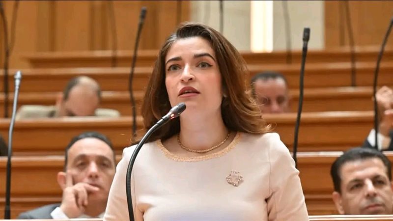 النائبة إيرين سعيد