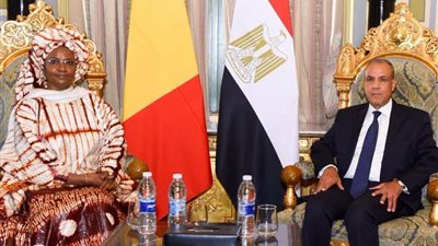 وزير الخارجية يلتقي وزيرة ريادة الأعمال والتوظيف والتدريب الفني بجمهورية مالي ويبحثان سبل التعاون