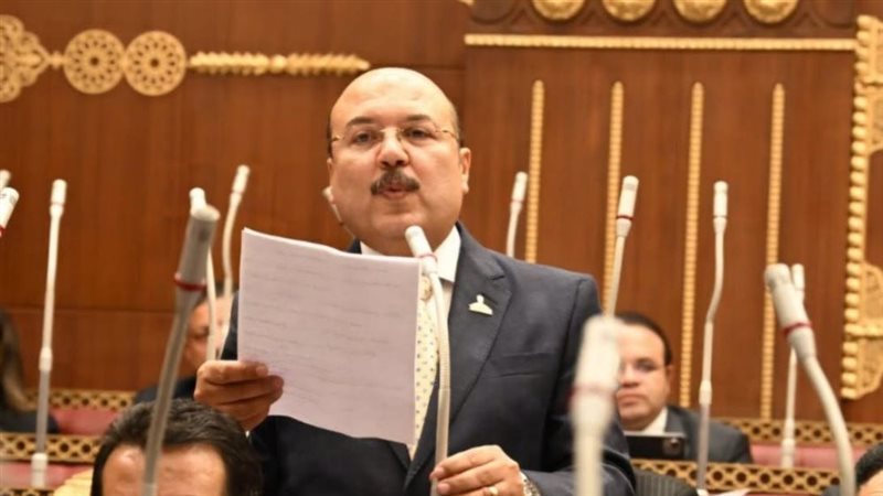 النائب ميشيل الجمل