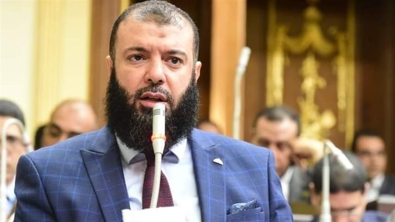 النائب الدكتور أحمد