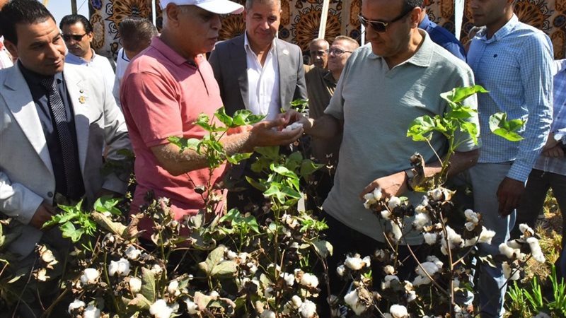 محافظ أسيوط