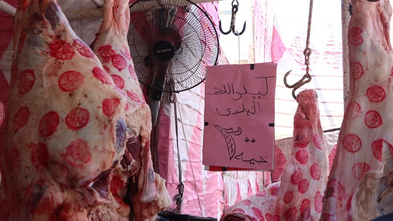 جانب من فاعليات المبادرة