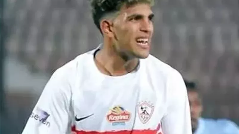 تفصيلة