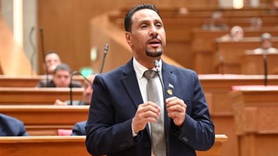 برلماني: منتدى مصر 2026 اختبار لقدرة الاقتصاد على تحويل الاستثمارات إلى فرص عمل ونمو مستدام