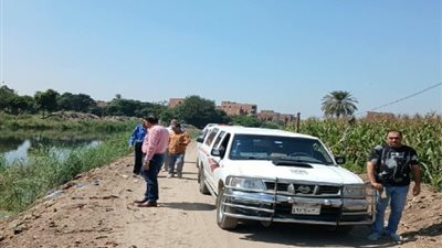 حقيقة ظهور «تمساح» في بلبيس.. لجنة للتحقق بعد تداول صور عبر مواقع التواصل