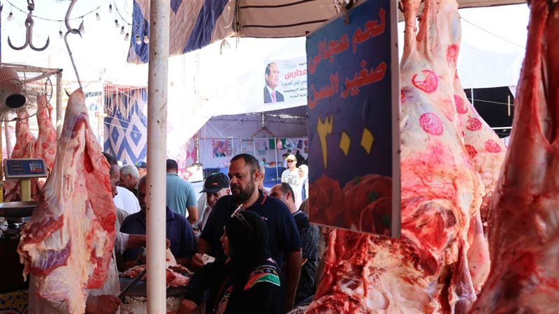 جانب من فاعليات مبادرة