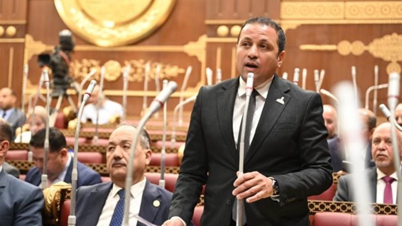  النائب عادل السكري
