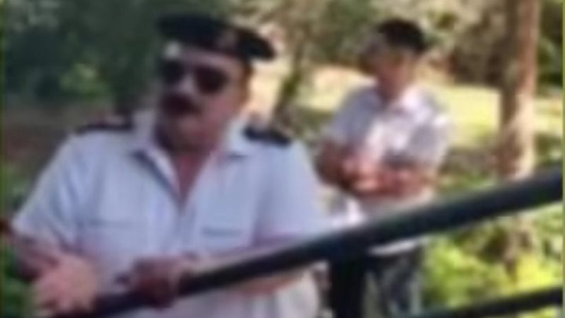 الفيديو المتداول