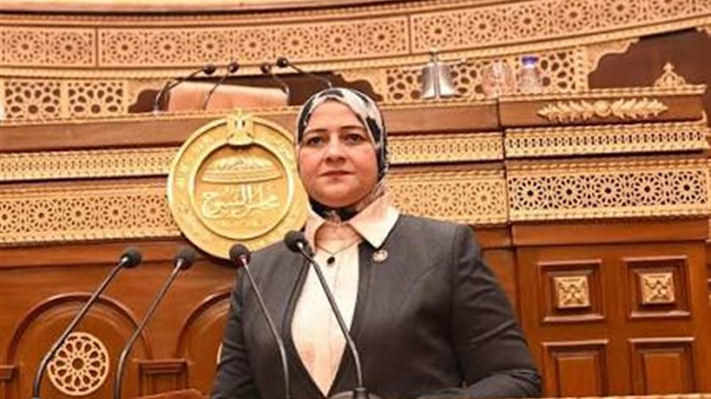 النائبة مروة قنصوة