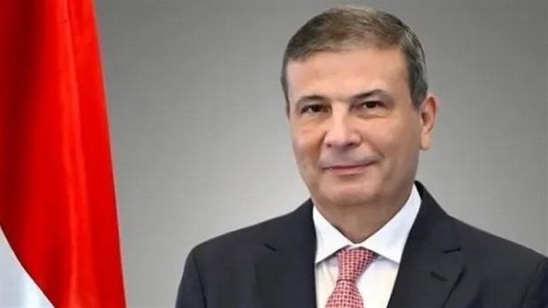 علاء فاروق، وزير